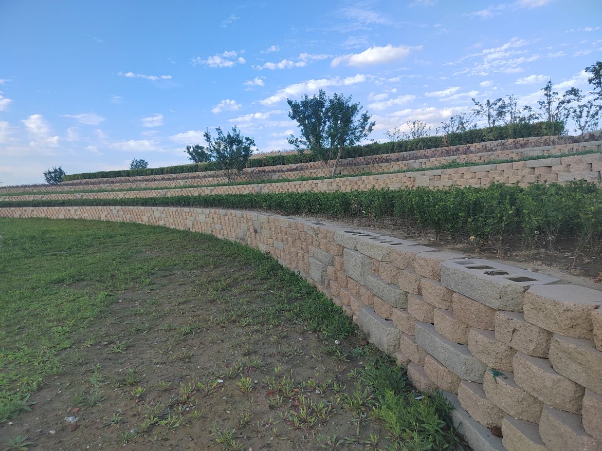 �沼���ש������ǽ����