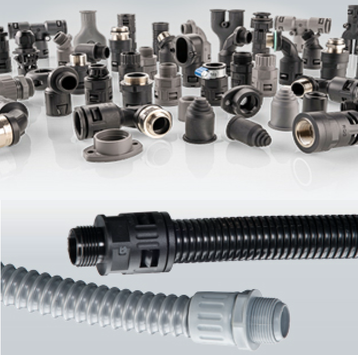 FLEXA ���������Լ����������ܽ�ͷ