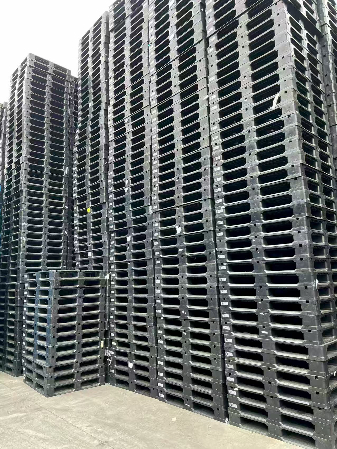 ������������ ������������