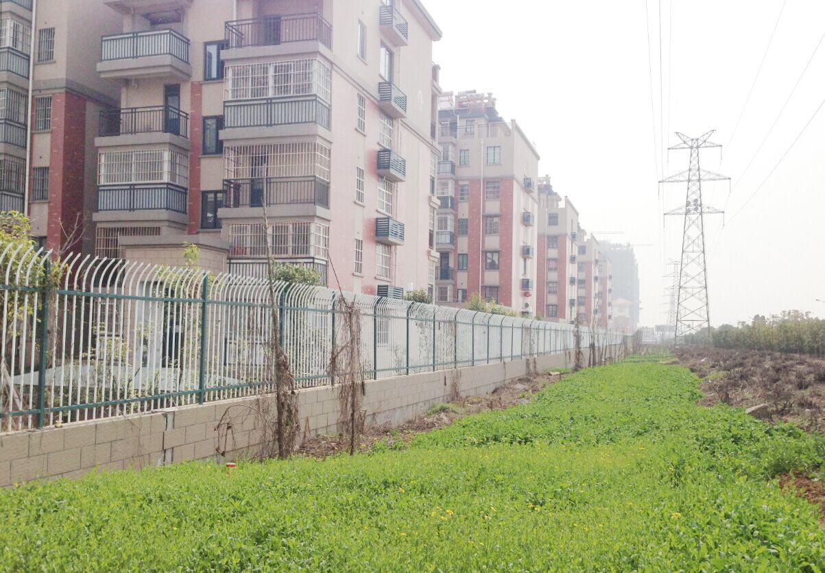 ��Χ��ѧУ�˶�������Χ������ٳ����η�������������˿��Χ��