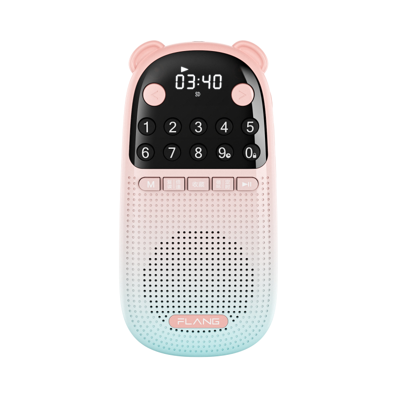 FLANG�Ÿ�N300��������忨��������ͯ��̻�СѧӢ��������ĥ����