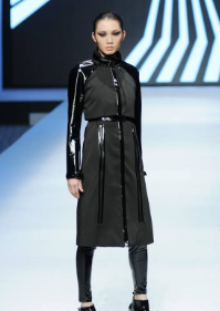 ֣���ݳ���˾,ģ�ع�˾